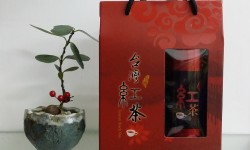 日月潭紅茶與小葉紅茶的比較