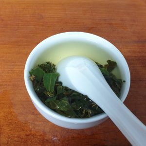 手工團揉烏龍茶