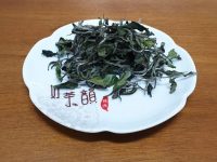 冬芽蜜香白茶上市